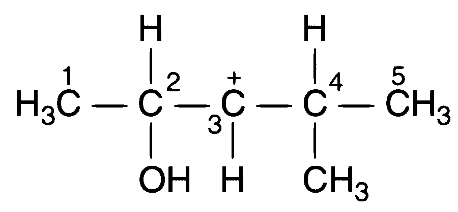 IIT-JEE 2009 Paper 2 Offline Chemistry - Basics of Organic Chemistry Question 10 English