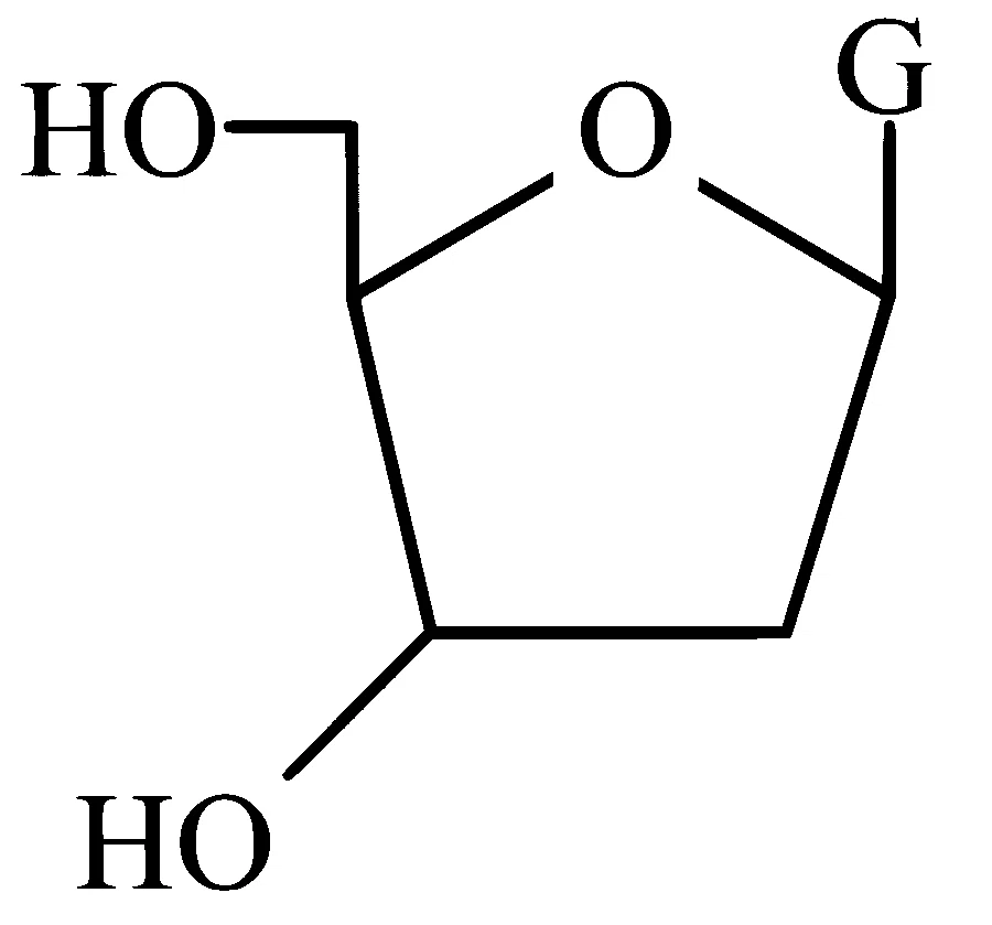 AP EAPCET 2025 - 26th May Evening Shift Chemistry - Biomolecules Question 6 English Option 2