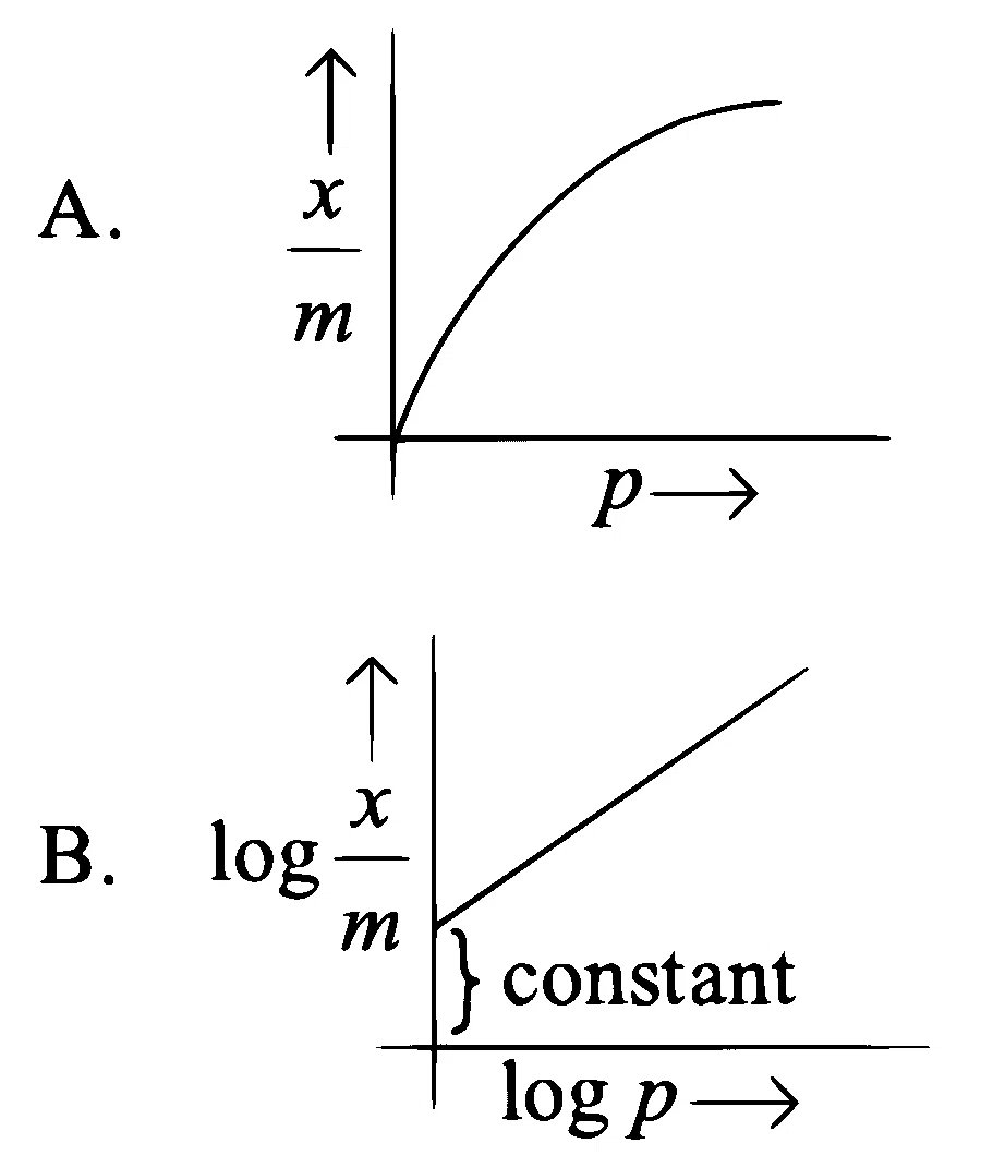JEE Main 2023 (Online) 8th April Morning Shift Chemistry - Surface Chemistry Question 5 English 1