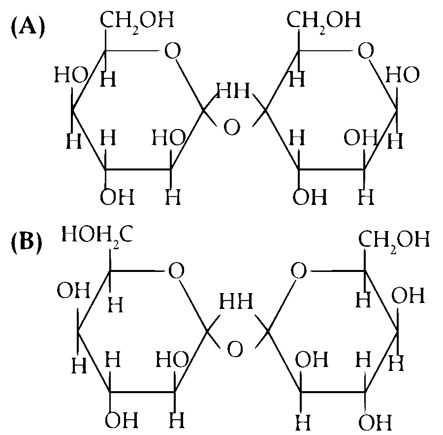 IIT-JEE 2005 Mains Chemistry - Biomolecules Question 6 English