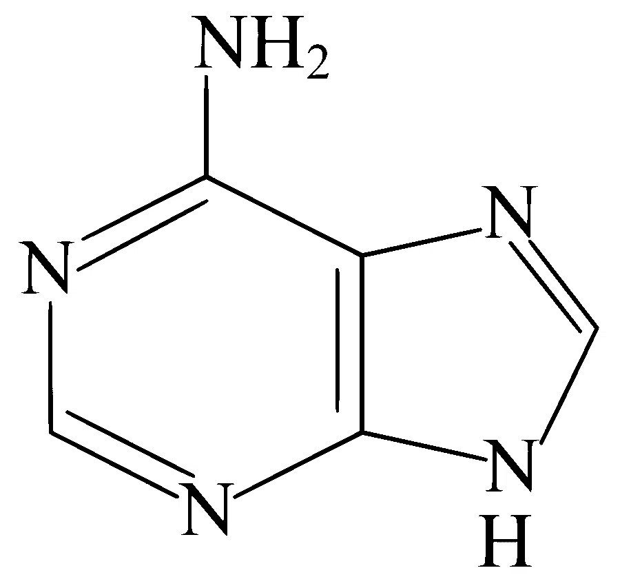 JEE Main 2025 (Online) 24th January Evening Shift Chemistry - Biomolecules Question 30 English 3