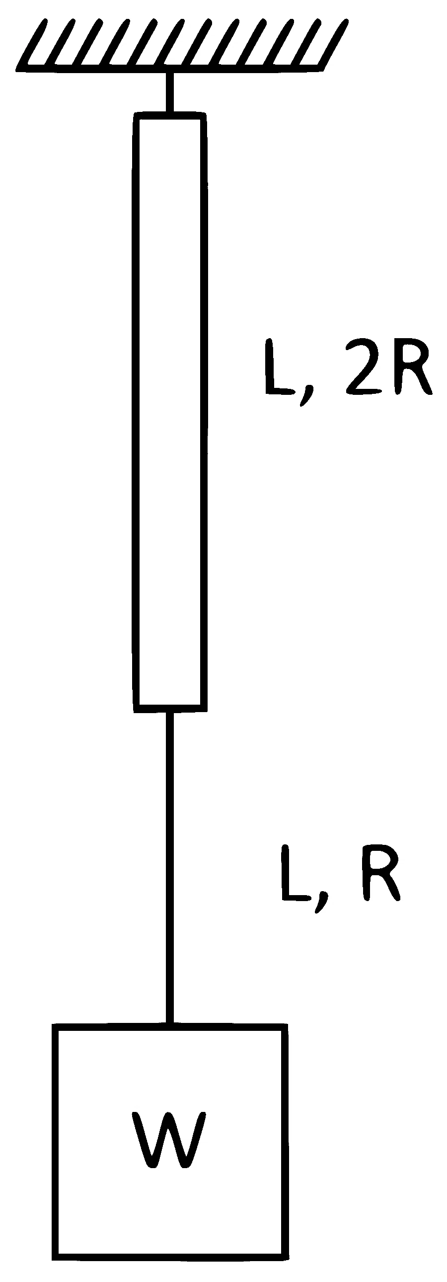 BITSAT 2024 Physics - Elasticity Question 2 English