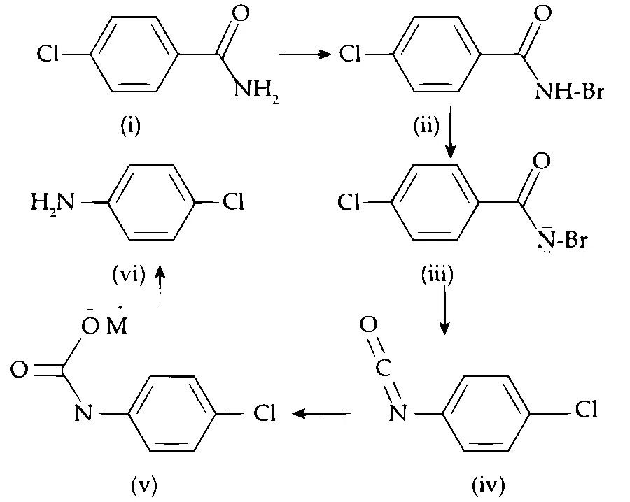 IIT-JEE 2006 Chemistry - Compounds Containing Nitrogen Question 2 English Comprehension
