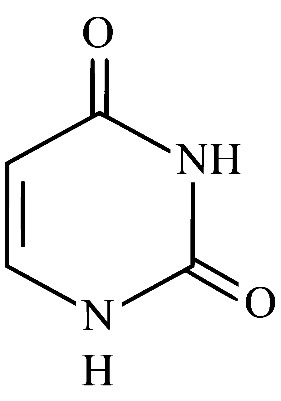 AP EAPCET 2025 - 21st May Evening Shift Chemistry - Biomolecules Question 20 English