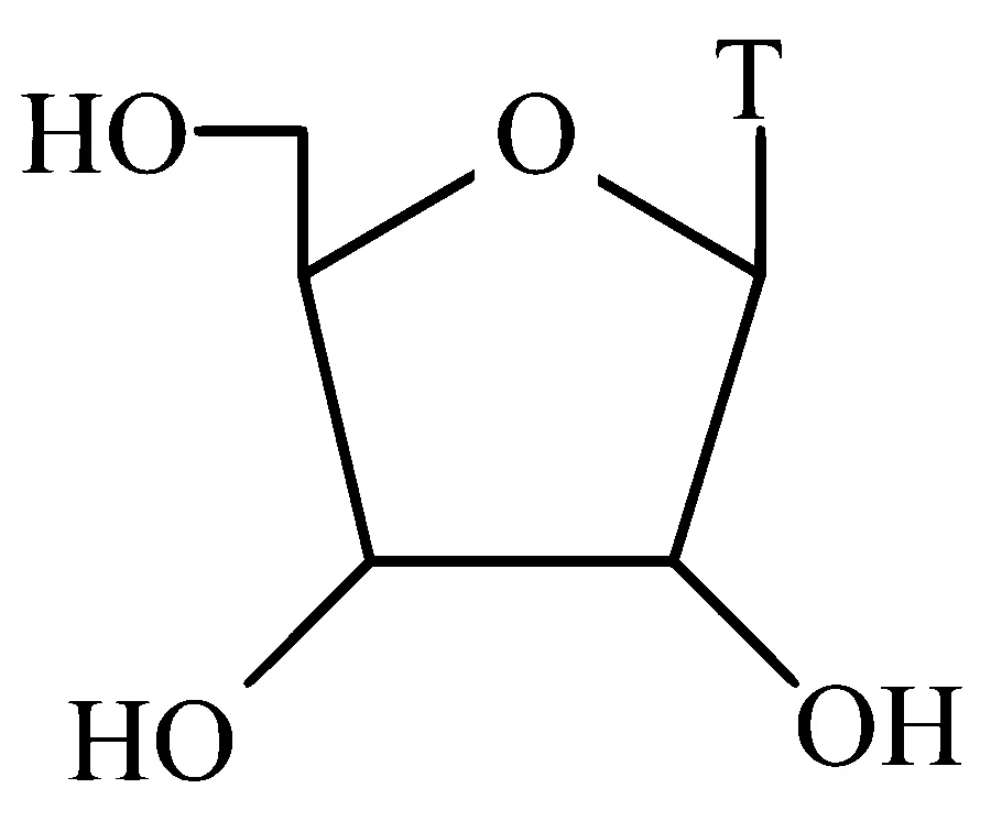 AP EAPCET 2025 - 26th May Evening Shift Chemistry - Biomolecules Question 6 English Option 1