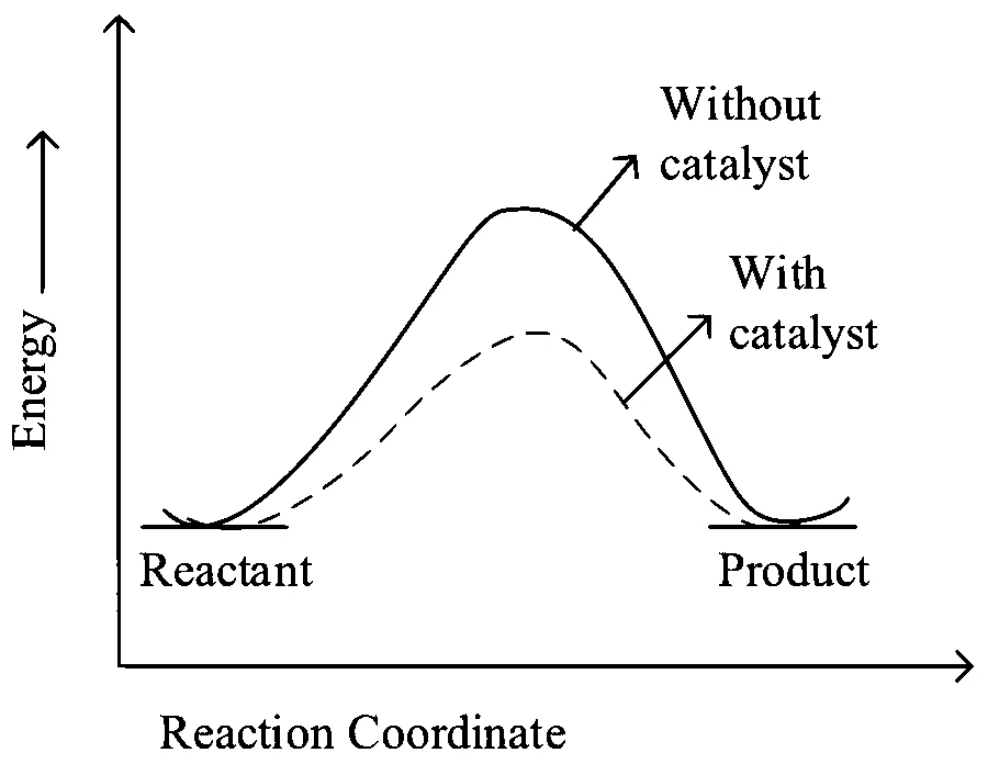 JEE Main 2023 (Online) 8th April Evening Shift Chemistry - Chemical Kinetics and Nuclear Chemistry Question 76 English Option 4