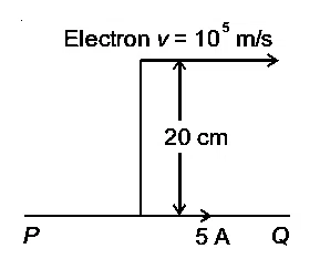 NEET 2021 Physics - Moving Charges and Magnetism Question 22 English