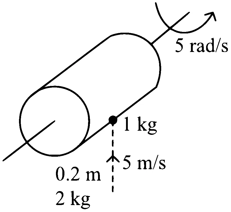 COMEDK 2024 Evening Shift Physics - Rotational Motion Question 8 English