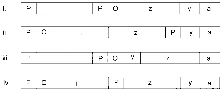 IAT (IISER) 2026 Biology - Molecular Basis of Inheritance Question 2 English