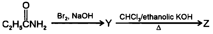 NEET 2026 Chemistry - Organic Compounds Containing Nitrogen Question 4 English