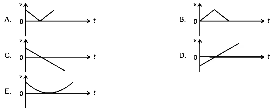 NEET 2026 Physics - Motion in a Straight Line Question 2 English