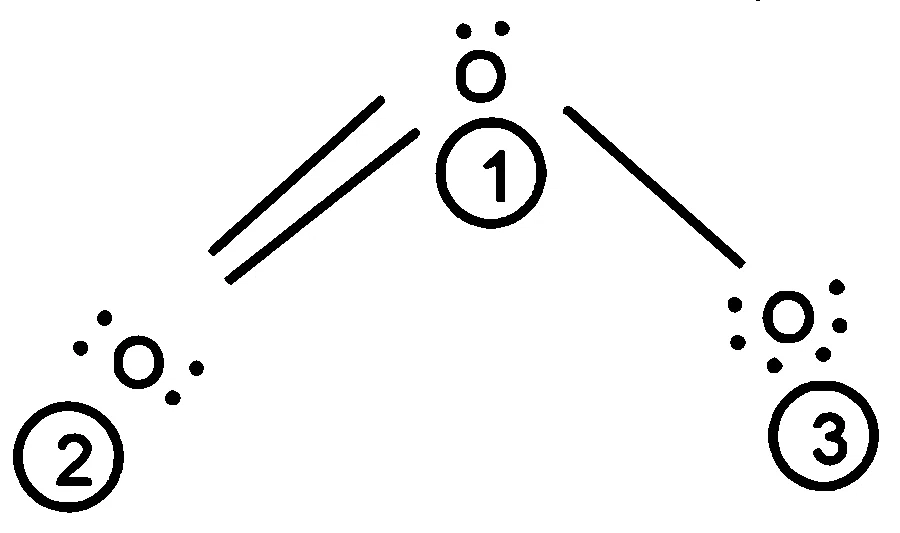NEET 2026 Chemistry - Chemical Bonding and Molecular Structure Question 4 English