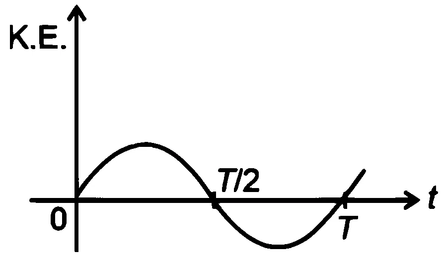 NEET 2026 Physics - Oscillations Question 3 English Option 4
