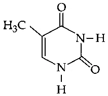 JEE Main 2021 (Online) 25th July Evening Shift Chemistry - Biomolecules Question 120 English Option 2