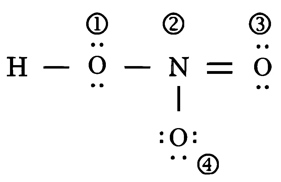 JEE Main 2026 (Online) 22nd January Morning Shift Chemistry - Chemical Bonding & Molecular Structure Question 19 English