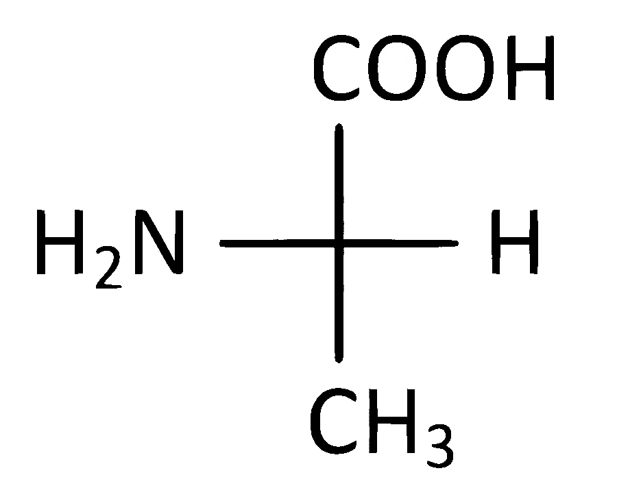 AP EAPCET 2024 - 18th May Morning Shift Chemistry - Biomolecules Question 37 English Option 1