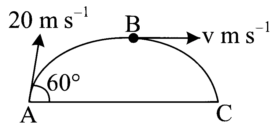 NEET 2023 Manipur Physics - Motion in a Plane Question 3 English