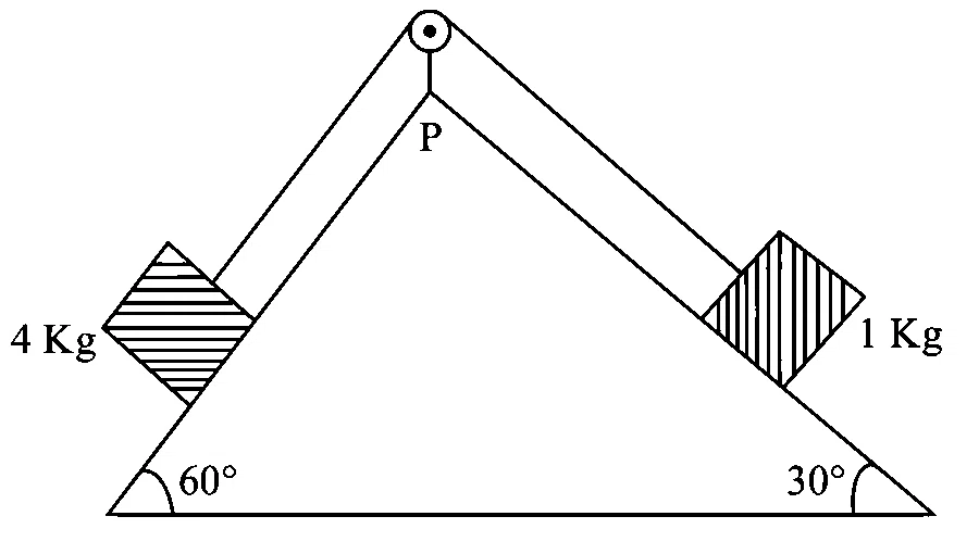 JEE Main 2023 (Online) 24th January Morning Shift Physics - Laws of Motion Question 50 English