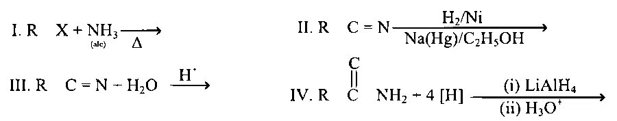 KCET 2025 Chemistry - Compounds Containing Nitrogen Question 5 English