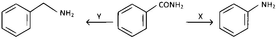 TG EAPCET 2024 (Online) 10th May Evening Shift Chemistry - Compounds Containing Nitrogen Question 33 English