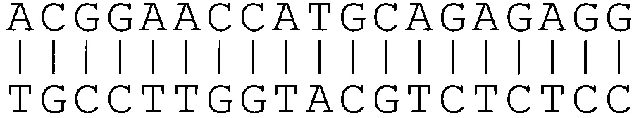 IAT (IISER) 2026 Biology - Biotechnology and It's Applications Question 1 English Option 4