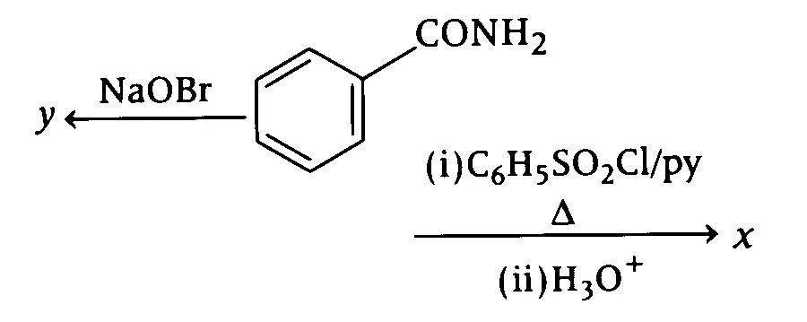 AP EAPCET 2025 - 21st May Morning Shift Chemistry - Compounds Containing Nitrogen Question 18 English