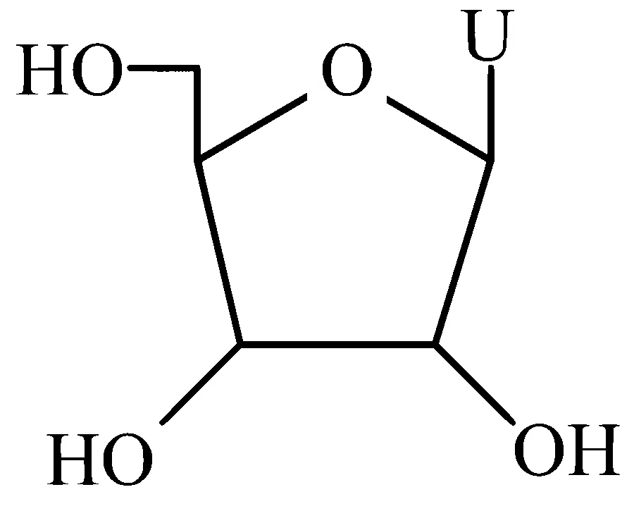 AP EAPCET 2025 - 26th May Evening Shift Chemistry - Biomolecules Question 6 English Option 4