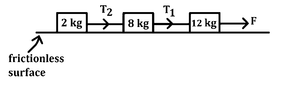 MHT CET 2026 20th April Evening Shift Physics - Laws of Motion Question 6 English
