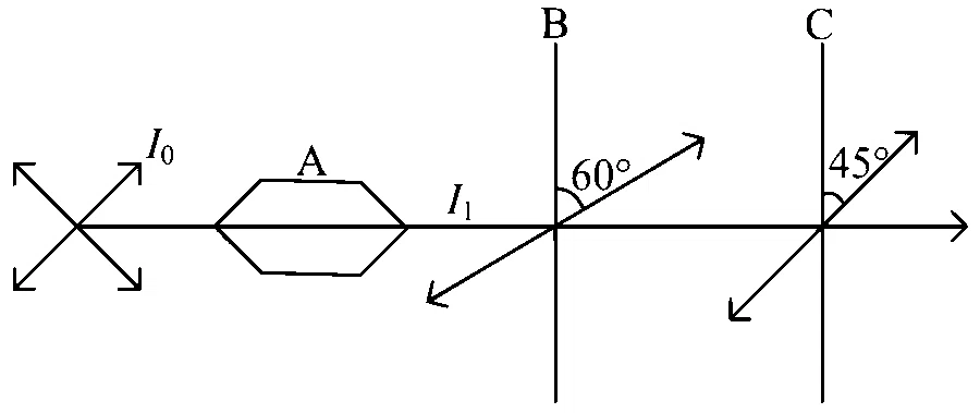 NEET 2024 (Re-Examination) Physics - Wave Optics Question 5 English