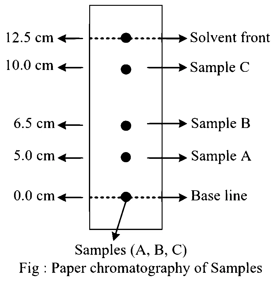 JEE Main 2024 (Online) 5th April Evening Shift Chemistry - Basics of Organic Chemistry Question 65 English
