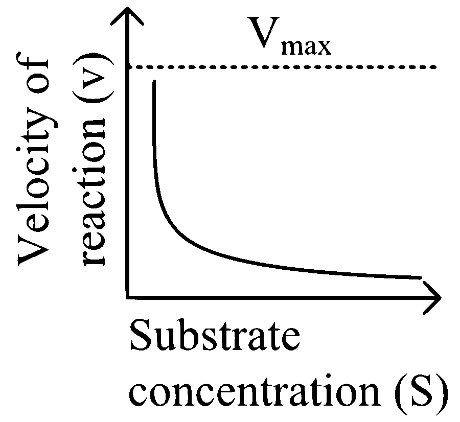 NEET 2024 (Re-Examination) Biology - Biomolecules Question 14 English Option 4