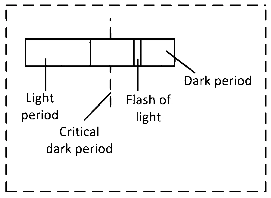 MHT CET (PCB) 2025 9th April Morning Shift Biology - Plant Growth and Development Question 1 English