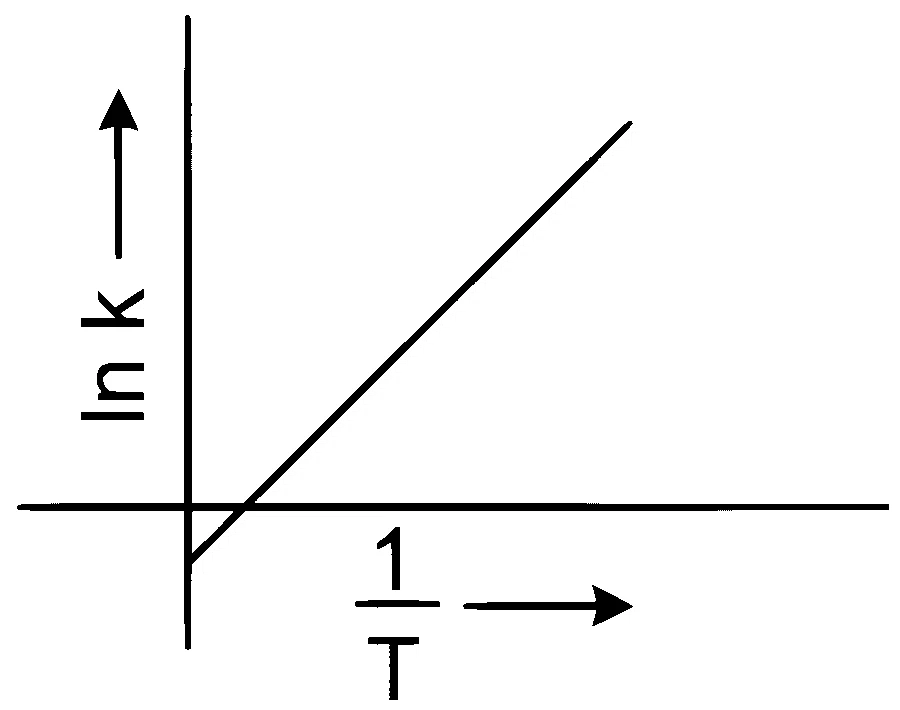 NEET 2024 Chemistry - Chemical Kinetics Question 11 English Option 1