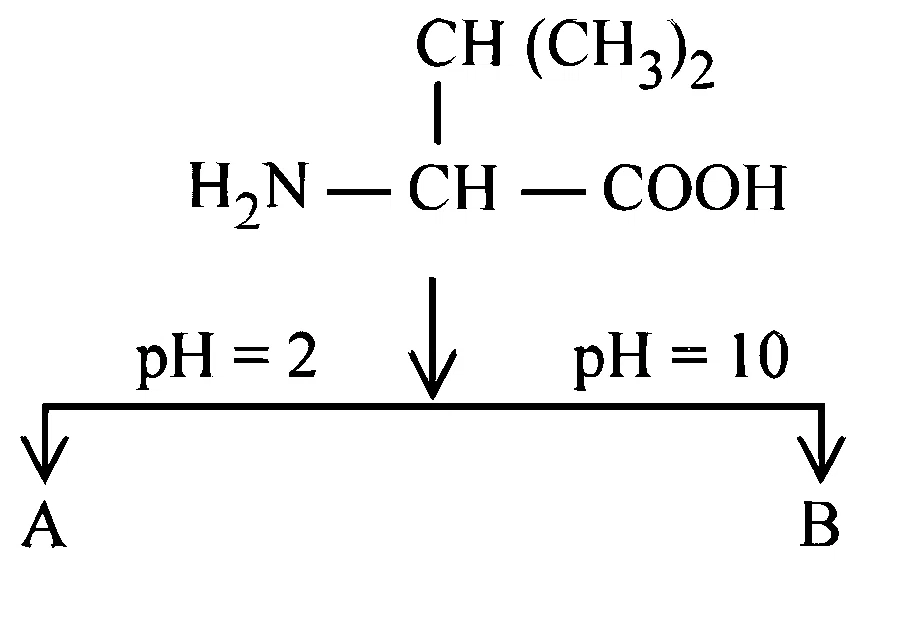 JEE Main 2025 (Online) 8th April Evening Shift Chemistry - Aldehydes, Ketones and Carboxylic Acids Question 43 English