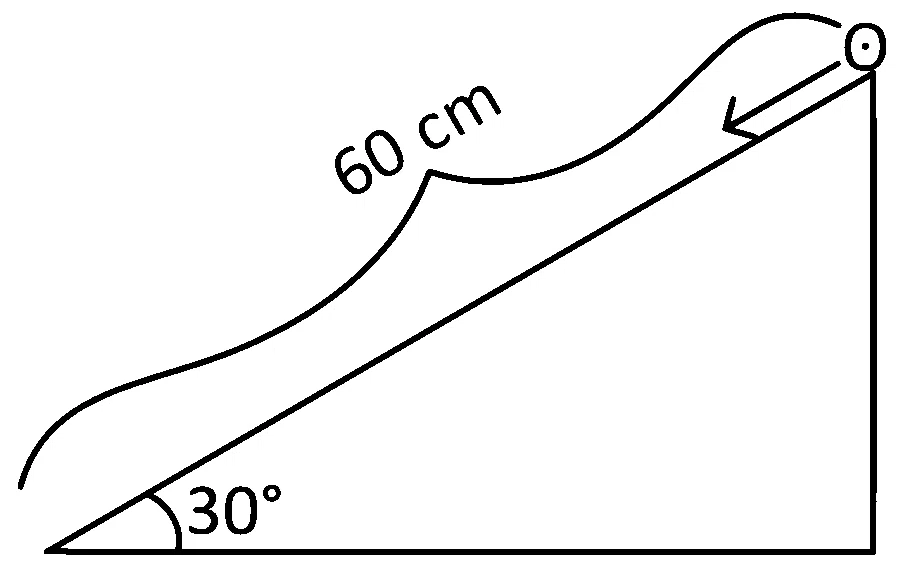 JEE Main 2023 (Online) 1st February Morning Shift Physics - Rotational Motion Question 96 English
