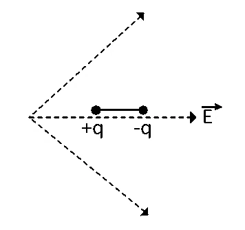 NEET 2021 Physics - Electrostatics Question 21 English