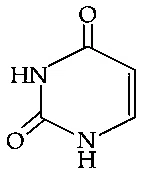 JEE Main 2021 (Online) 27th August Morning Shift Chemistry - Biomolecules Question 114 English Option 4