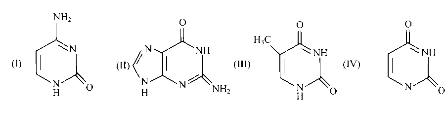 IAT (IISER) 2023 Chemistry - Biomolecules Question 1 English