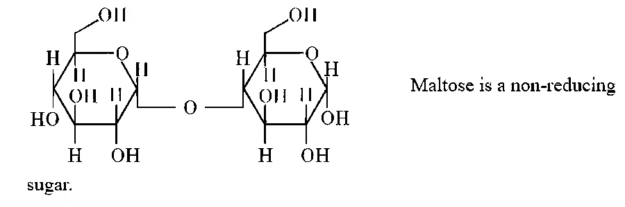 JEE Main 2026 (Online) 4th April Morning Shift Chemistry - Biomolecules Question 2 English 1